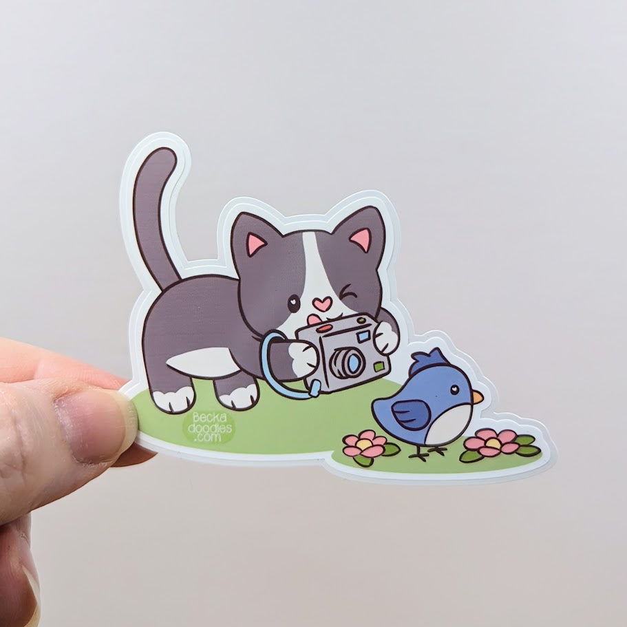 Photography Cat Sticker