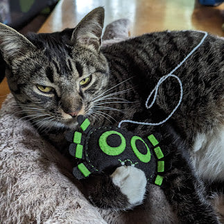 Spider Cat Toy