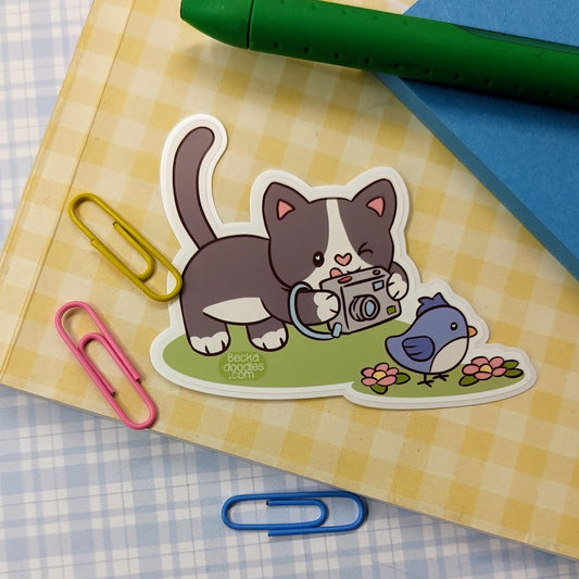 Photography Cat Sticker