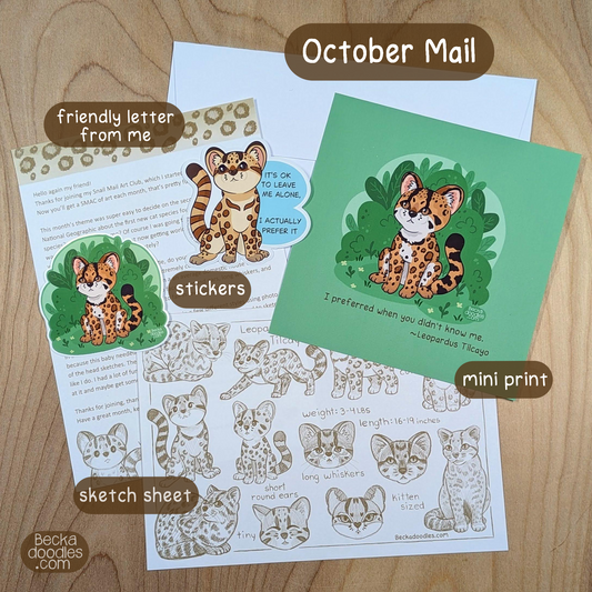 October Snail Mail (US)